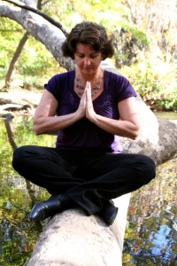 cara meditate on tree