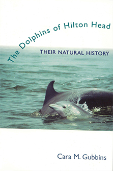 dolphins-of-hilton-head