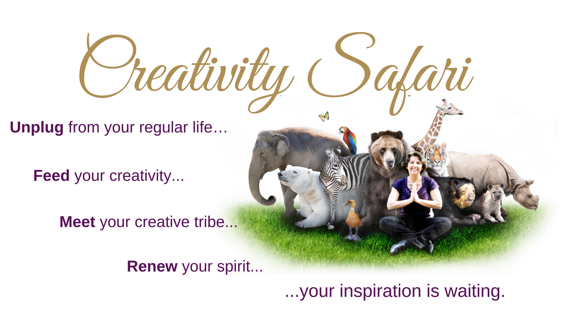 creativity-safari